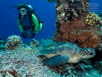 North Sulawesi Live Aboard