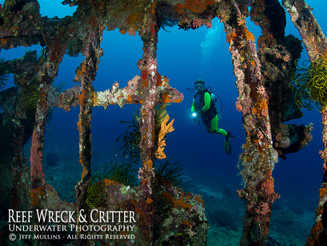 Shipwreck Manokwari Bay West Papua