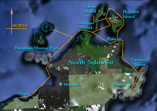 North Sulawesi Live Abord Underwater Photo Trip