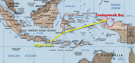 Cendrawasih Bay Live Aboard Trip