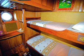 Raja Ampat Liveaboard - Twin Cabin