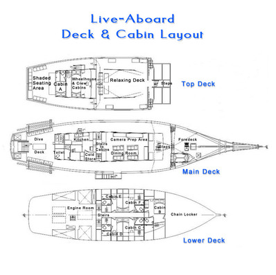 Liveaboard Boat Details - Raja Ampat & Cenderawasih Bay