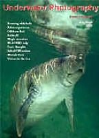 Underwater Photography Magazine - Download for Free