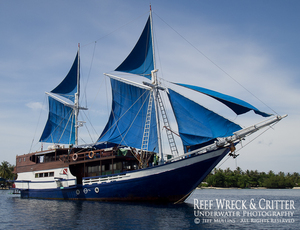 Live Aboard Diving Raja Ampat