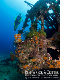 WWII Shipwreck Cenderawasih Bay ©2015 Jeff Mullins