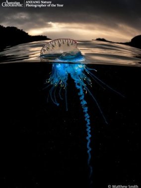 Australian Geographic ANZANG Nature Photographer of the Year 2014